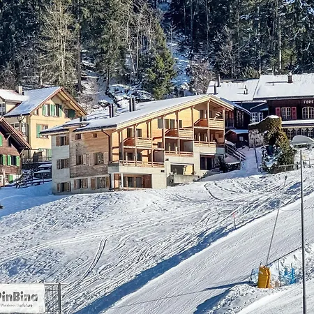 Bab Port Apt- 03 By Interhome Wengen