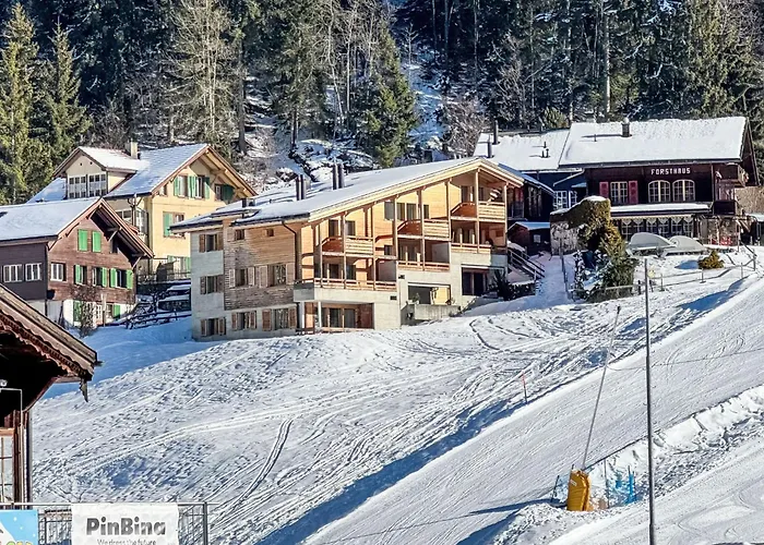 Bab Port Apt- 03 By Interhome Wengen