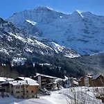 Apartament Bab Port Apt- 03 By Interhome Wengen